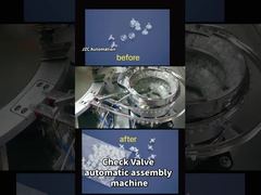 Check Valve Assembly Machine